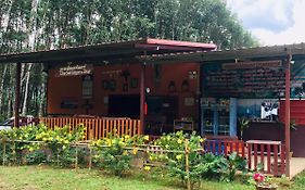 Khao Sok Evergreen House